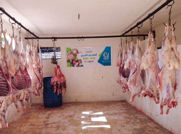 The conclusion of the sacrifice of goodness project 2022AD – 1443 AH