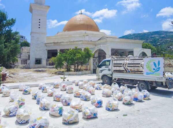 Distribution of 994 food baskets